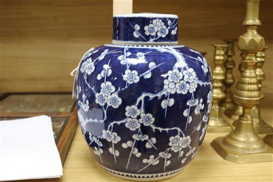 A Chinese large bulbous ginger jar and cover decorated prunus